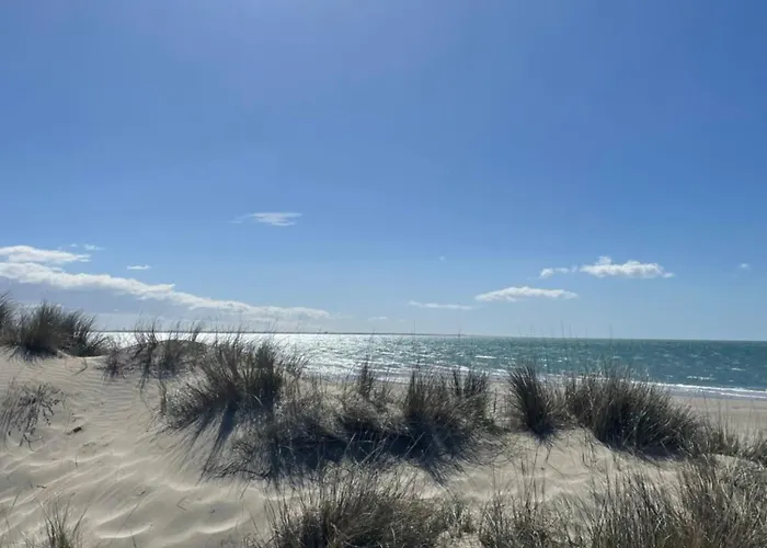 Maria - 4 Personnes Motte